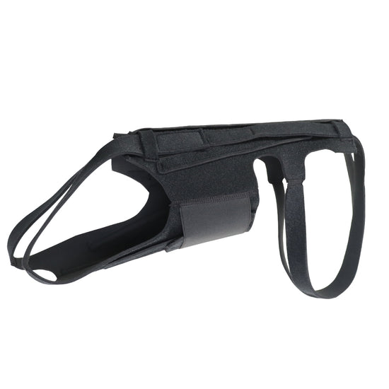 Ceinture dorsale pour chien pour IVDD, arthrite et récupération