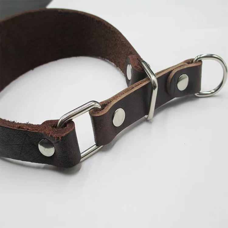 S705d456a4dd54bbda1b0616b2bfb4f56s